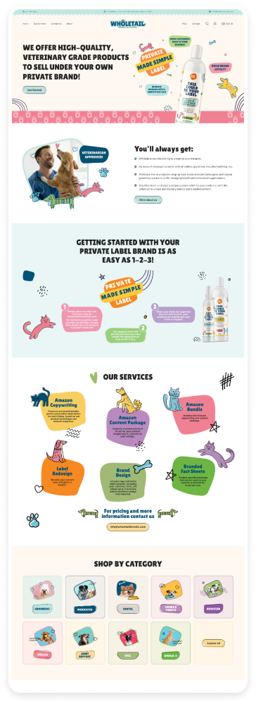 Homepage audit example